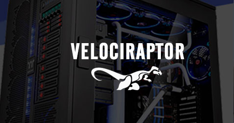 Velociraptor