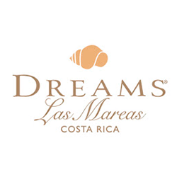 Dreams las mareas